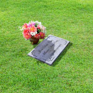Lawn Lot